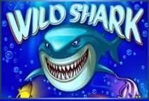 Wild Shark Slot Review